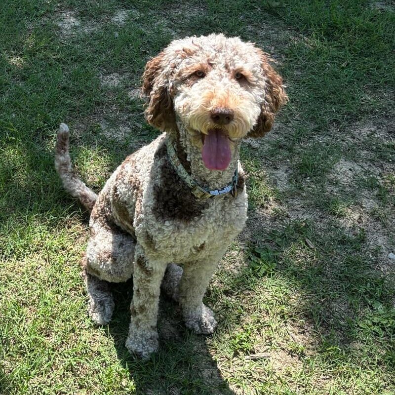 ebf61661-0dd6-435a-a03a-2934184ae347